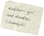 Nokhuri girl and donkey, Chandybil